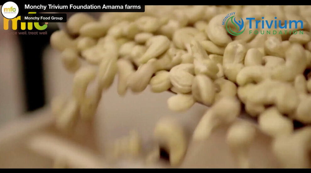 amama-cashew-thumb