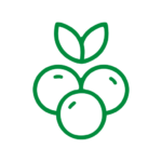 berries-icon-green